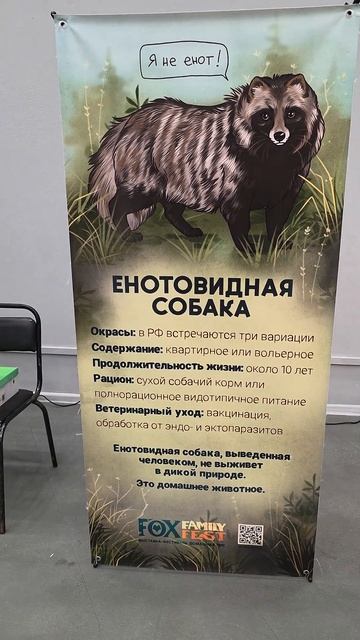 Twitch: EricMyval ЭТО НЕ ЕНОТ смотреть онлайн