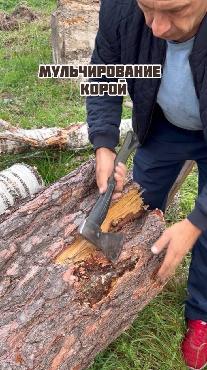 Мульчирование корой смотреть онлайн