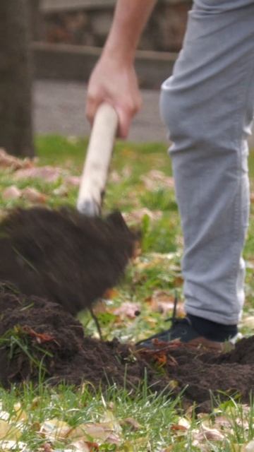 высадка деревьев смотреть онлайн