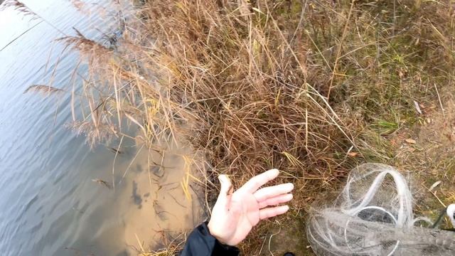 Закрытие сезона 2025!!! Это было круто!!! Рыбалка кастинговой сеткой состоялась на все 💯😁😁😁👍🔥 смотреть онлайн