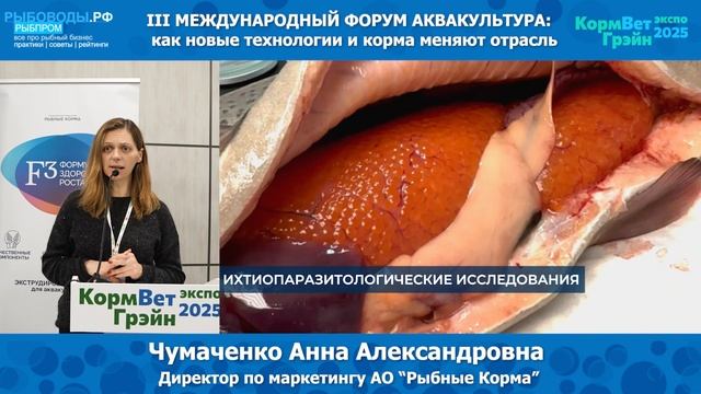 Чумаченко Анна Александровна - директор по маркетингу АО 