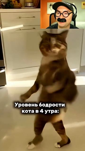 Кот в 4 утра смотреть онлайн