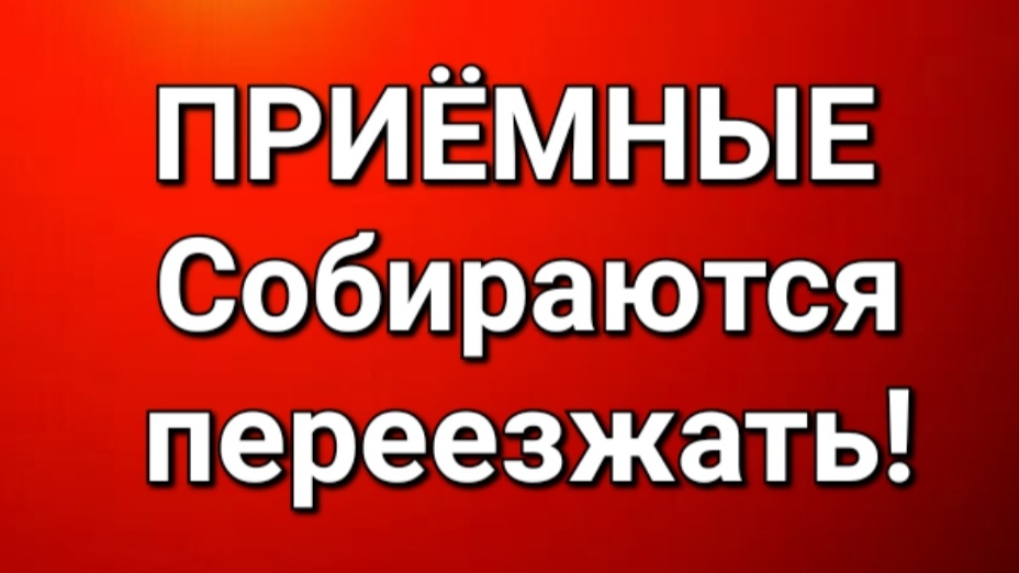 Приёмные/Обзор. смотреть онлайн