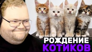 Т2х2 СМОТРИТ: 100 дней взросления котят мейн-кунов! / МИЛОЕ ВИДЕО / РЕАКЦИЯ Т2х2