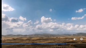 Песня из фильма "Король лев 2019"