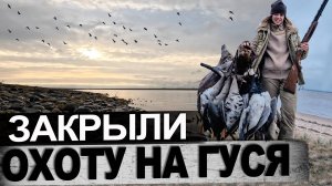 Охота на гусей  новая двустволка в деле