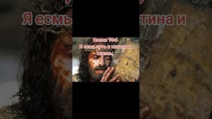 9 ноября 2025 г.