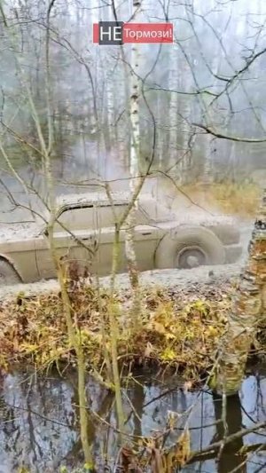 ГАЗ 31105 на бездорожье! Нива проскочит? 😃 #бездорожье #нива #уаз #газ3110 #газ31105 #не_тормози