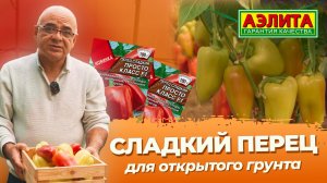 Сладкий ПЕРЕЦ для ОТКРЫТОГО ГРУНТА! Новинка 2026 - перец ПРОСТО КЛАСС F1