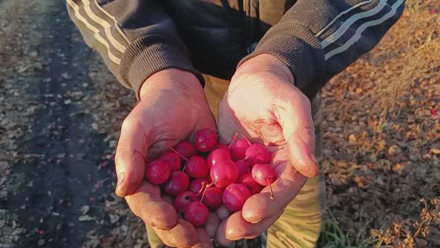 КАК МЫ ПРОВЕЛИ ВОСКРЕСЕНЬЕ, КУСОЧЕК НАШЕГО ДНЯ смотреть онлайн