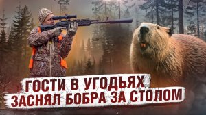 ГОСТИ В УГОДЬЯХ // ЛЮБОПЫТНАЯ ЩУКА, БОБЕР ЗА «СТОЛОМ» И НЕ ТОЛЬКО