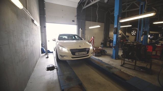 Руководитель компании | Технофранц