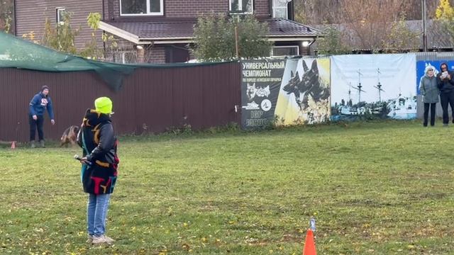 1 Отл. GERMANIYA v. Wespen Haus ++- №26. ВОРОНЕЖ 26 октября`25 Моно немецких овчарок смотреть онлайн