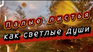 Палые листья как светлые души. Песни об осени