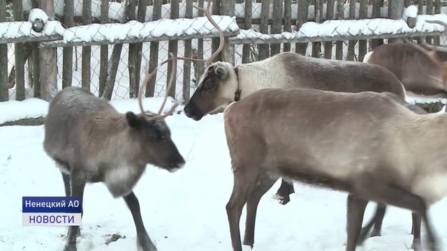 НА ПОВЕСТКЕ ДНЯ смотреть онлайн