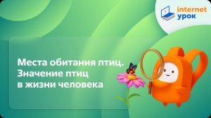 Окружающий мир 1 класс. Места обитания птиц. Значение птиц в жизни человека