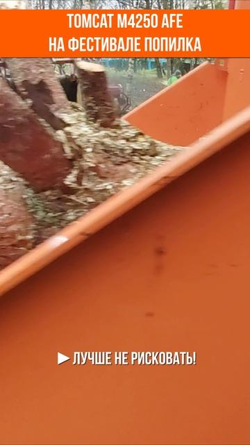 Tomcat M4250 - реакции на фестивале Попилка