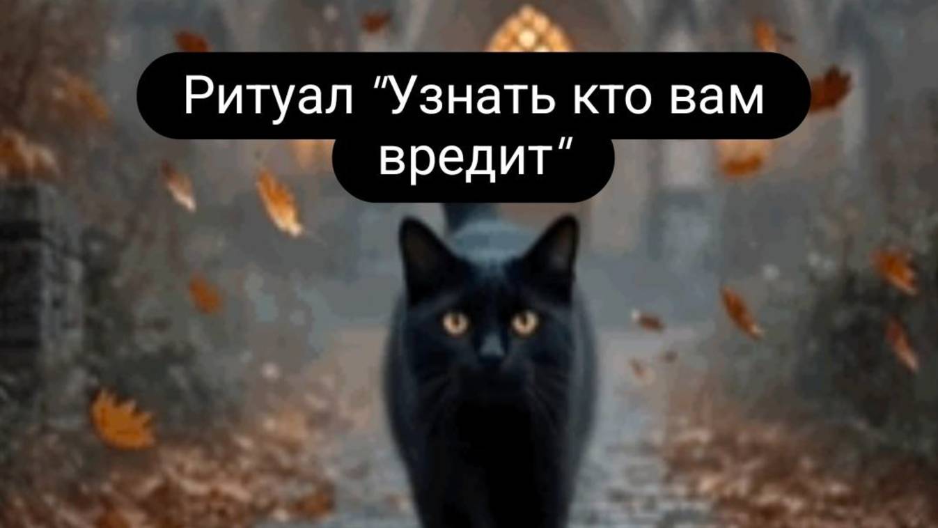 Ритуал _Узнать вредящего врага_#ритуал #узнатьврага #ктовредит смотреть онлайн