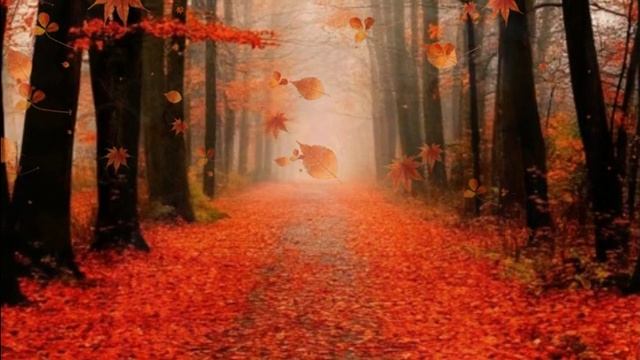 Закружила осень золотая смотреть онлайн