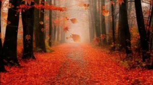 Закружила осень золотая