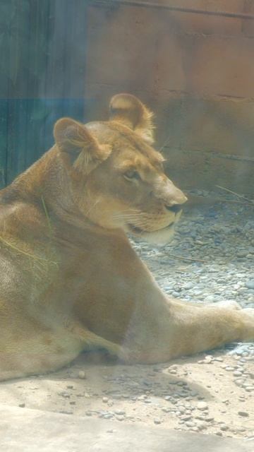 Бэби-бум смотреть онлайн