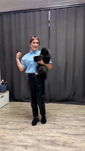 КОГО МОНГОЛ ПОТЕРЯЛ?! ТАКУЮ МОДНУЮ КРАСОТКУ!