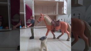 Я вернулась