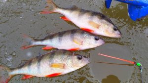 ПЕРВЫЙ ЛЁД 2025-2026. ОТКРЫТИЕ СЕЗОНА БЕЗНАСАДКИ !!!