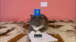похищение Геннадия Петровича!!!       (от  котинет😸)