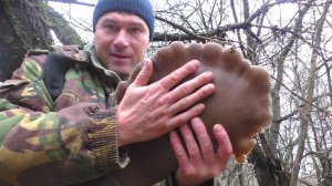 ДОБЫЛ ГИГАНТСКИЙ ГРИБ! Где и как искать грибы поздней осенью И ВСЕГДА БУДИТЕ С ГРИБАМИ