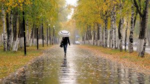 Песня - Непогода (кавер)