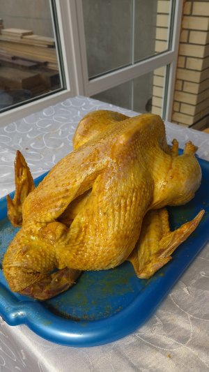 Новогодняя индейка