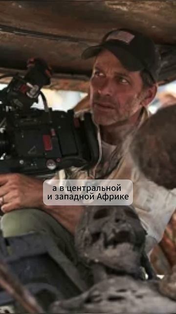 История зомби ￼ смотреть онлайн