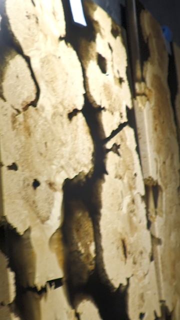 Инвестиции в комфорт смотреть онлайн