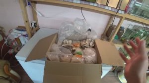 Рекорд от Санта-Клауса и получил посылку со Славянска