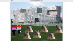 НАПАДЕНИЕ КАПИБАР