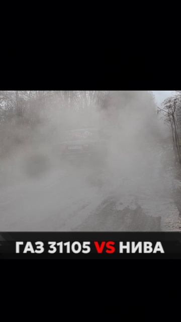 ГАЗ 31105 против Нивы на бездорожье. Почему так вышло? #нива #газволга #бездорожье #гонка #ралли смотреть онлайн