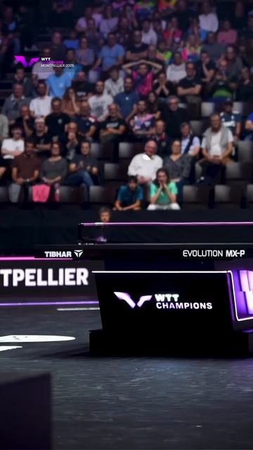 Чу Чхон Хви и Хашимото Хонока во всей своей красе! 🤯🏓