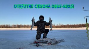 Щуки заглатывают приманку. Открытие сезона 2025-2026  #рыбалка #щука #зимняярыбалка #deeper