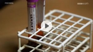 Удивительный Мир Крови. Фильм BBC. Табу 🚫 от Бога на действия с кровью. Библия, Левит (17:14) ⚠️❌🙏