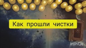 как прошли чистки таро расклад онлайн