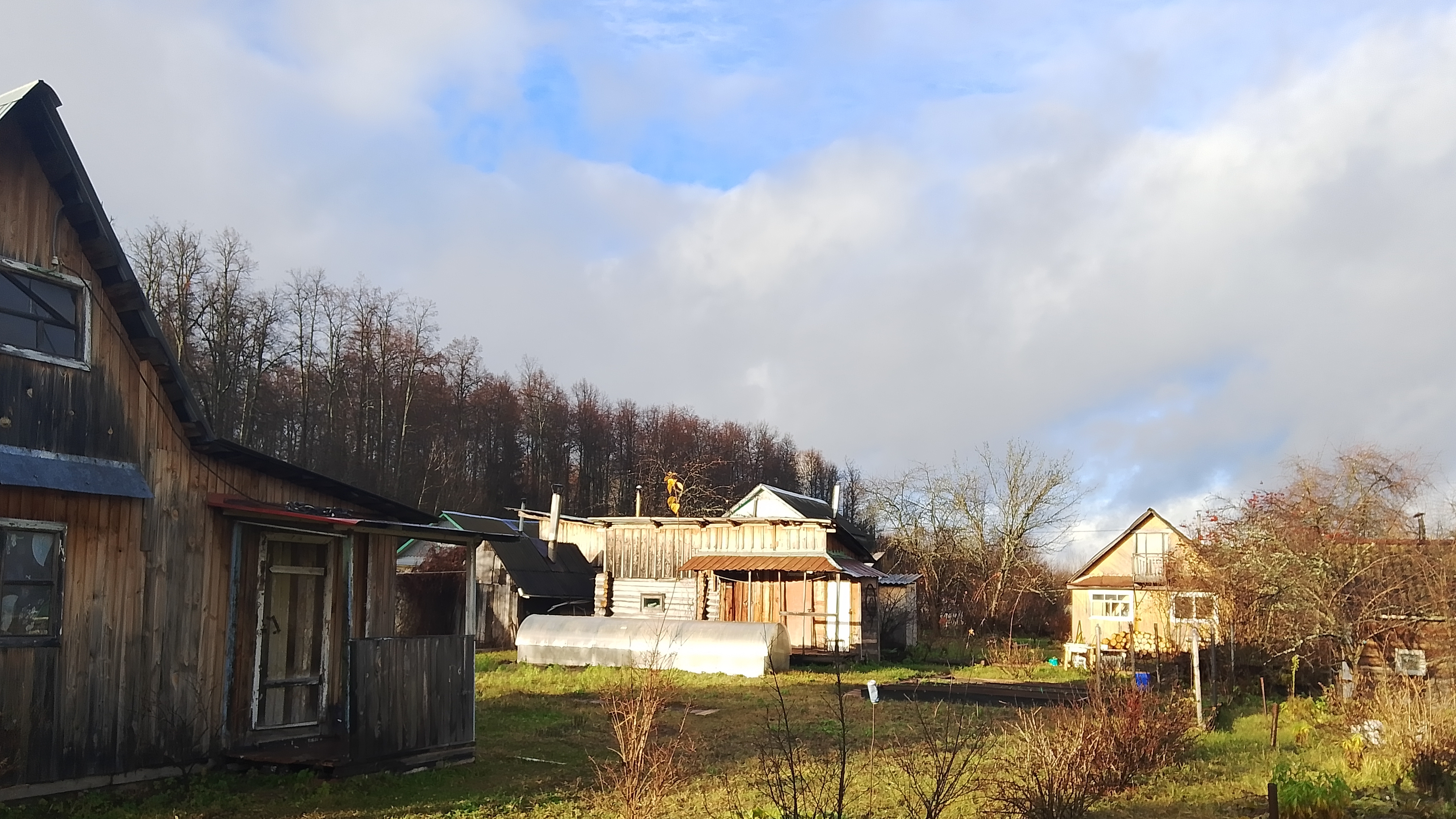 Выезд на дачу 07.11.25 смотреть онлайн