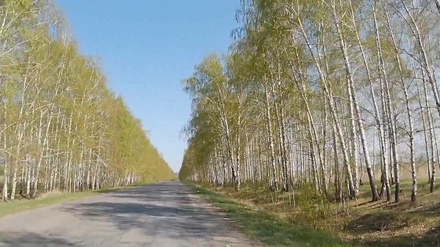 Весенняя велопоездка. АРХИВ, апрель 2025. смотреть онлайн