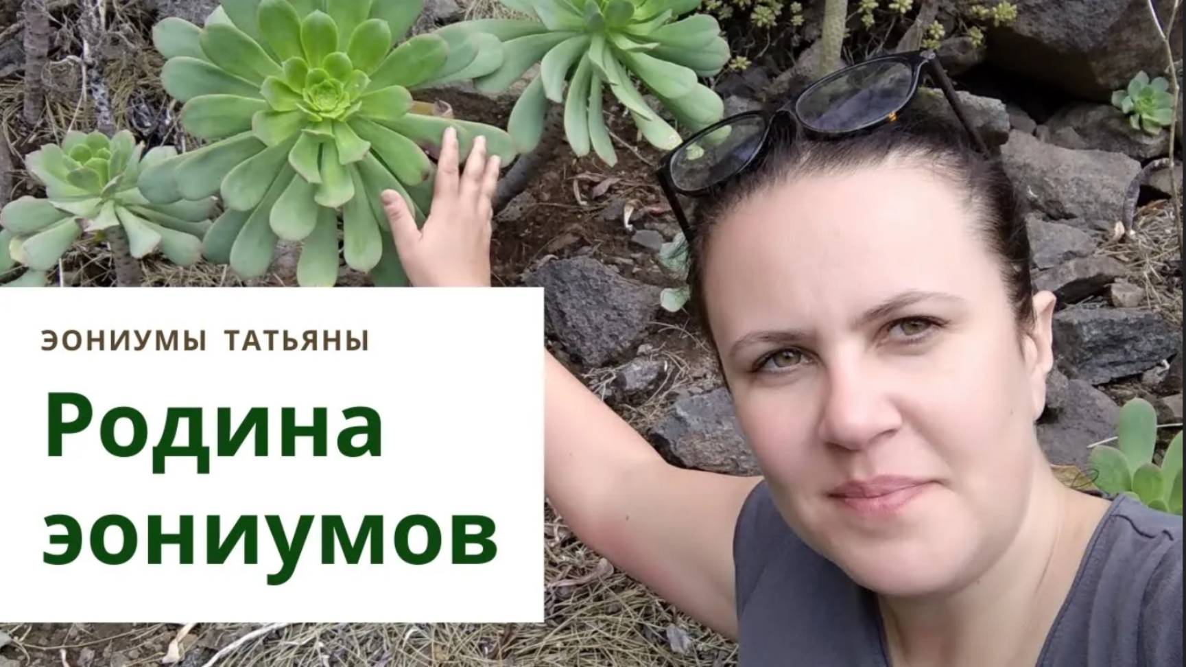 25. Родина эониумов