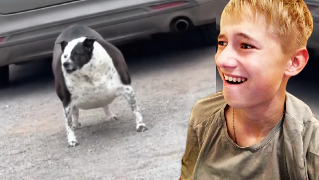 попробуй не засмеяться челлендж! смотреть онлайн