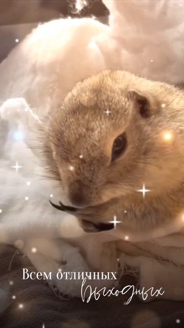 доброе утро ☕😊