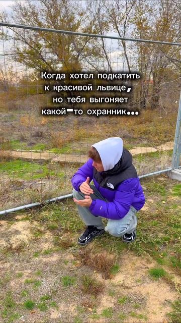 2025-11-10 смотреть онлайн