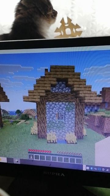 странная церковь🤨 в деревне майнкрафт