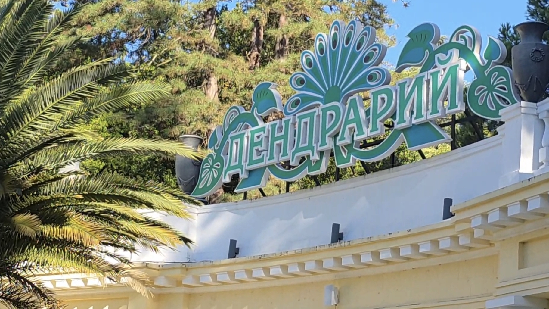Дендрарий, Сочи (ноябрь 2025) смотреть онлайн