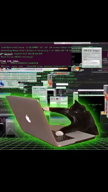 Кот хакер #пентест #hackprotech #ethicalhacking #infosec #pentest #юмор смотреть онлайн